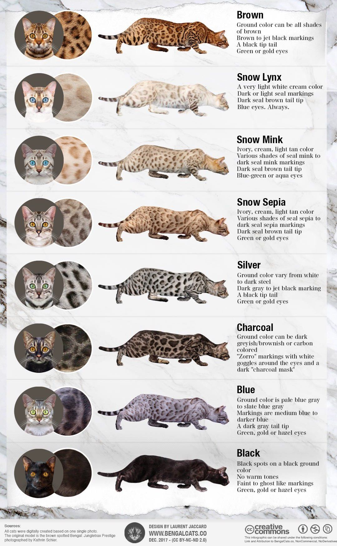 Bengal