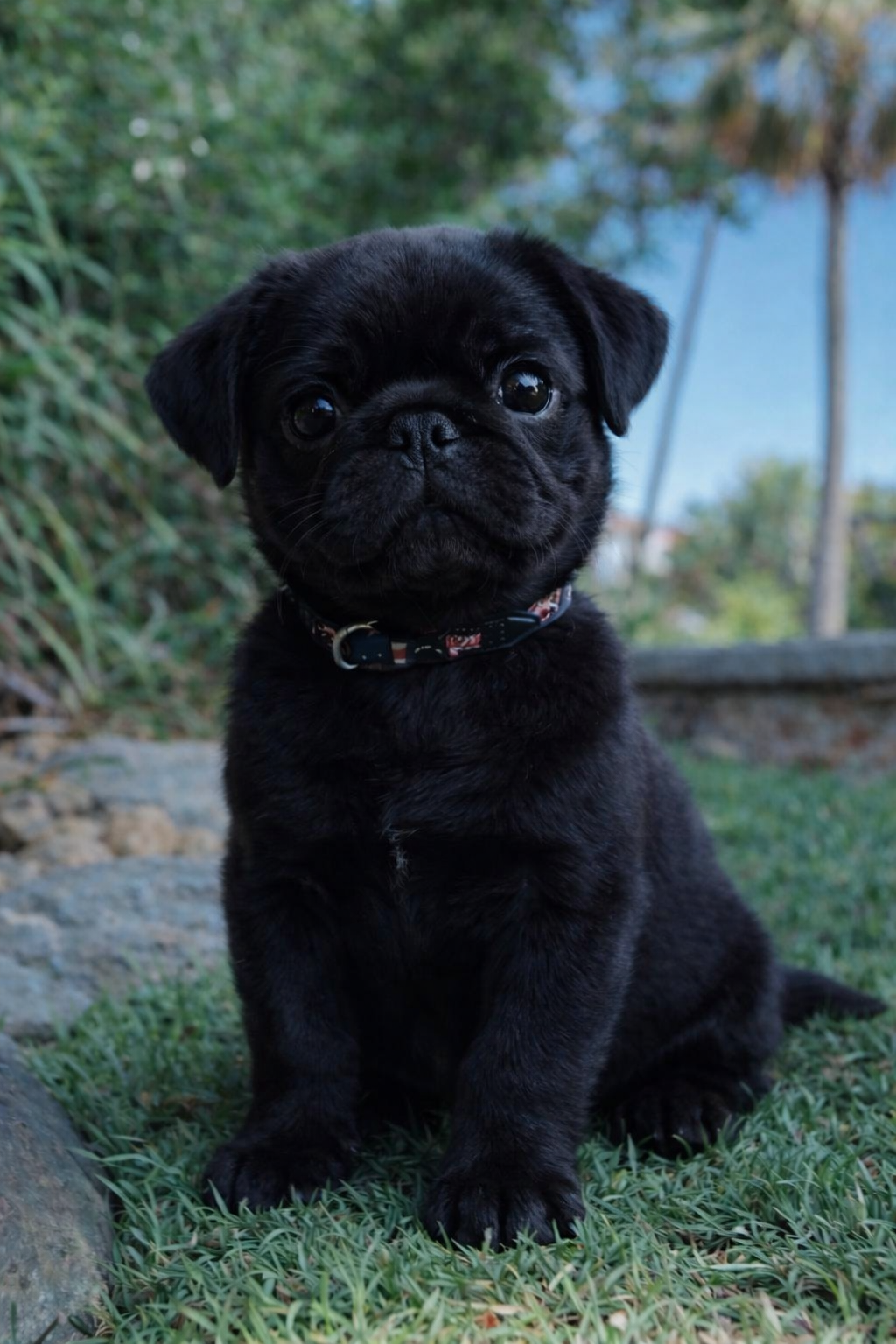 Zoe